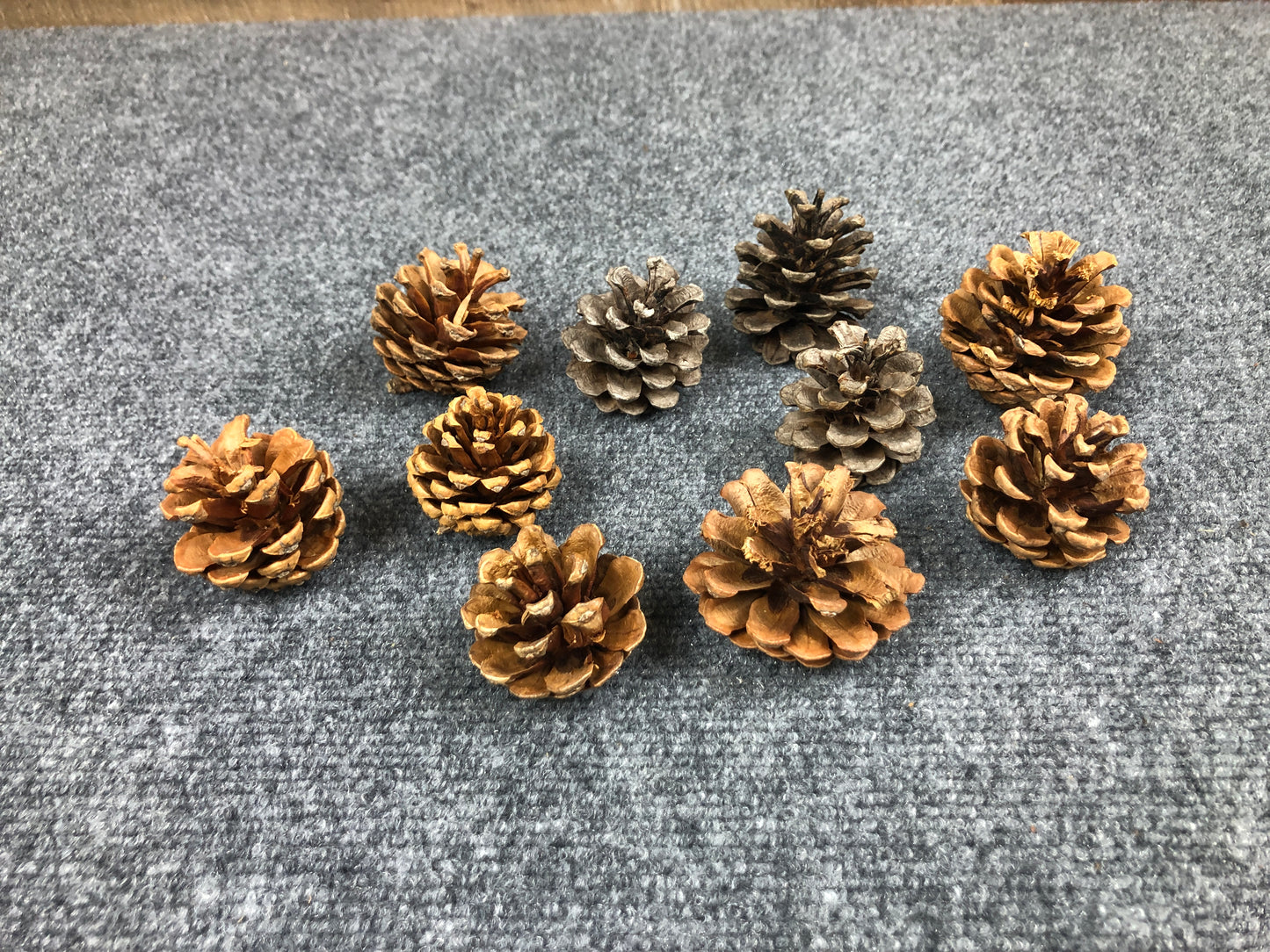 4010  Red Pinecones - 10 Pack Grab Bag