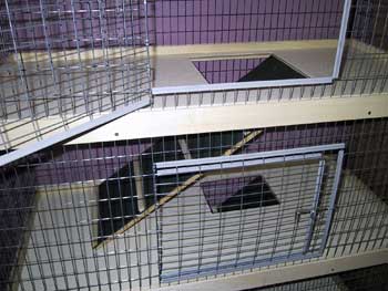 2000 Chubby Bunny Condo Option