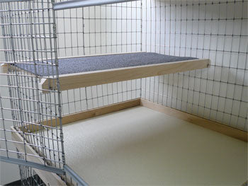 2010  Bunny Abode Party Deck (for 48 inch Condo)